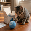 Automatic Cat Teaser Ball